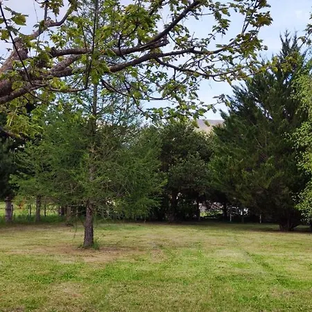 Mobil Sur Grand Terrain Cloture Et Arbore